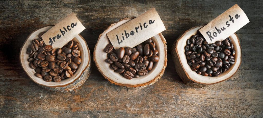 arabica vs robusta
