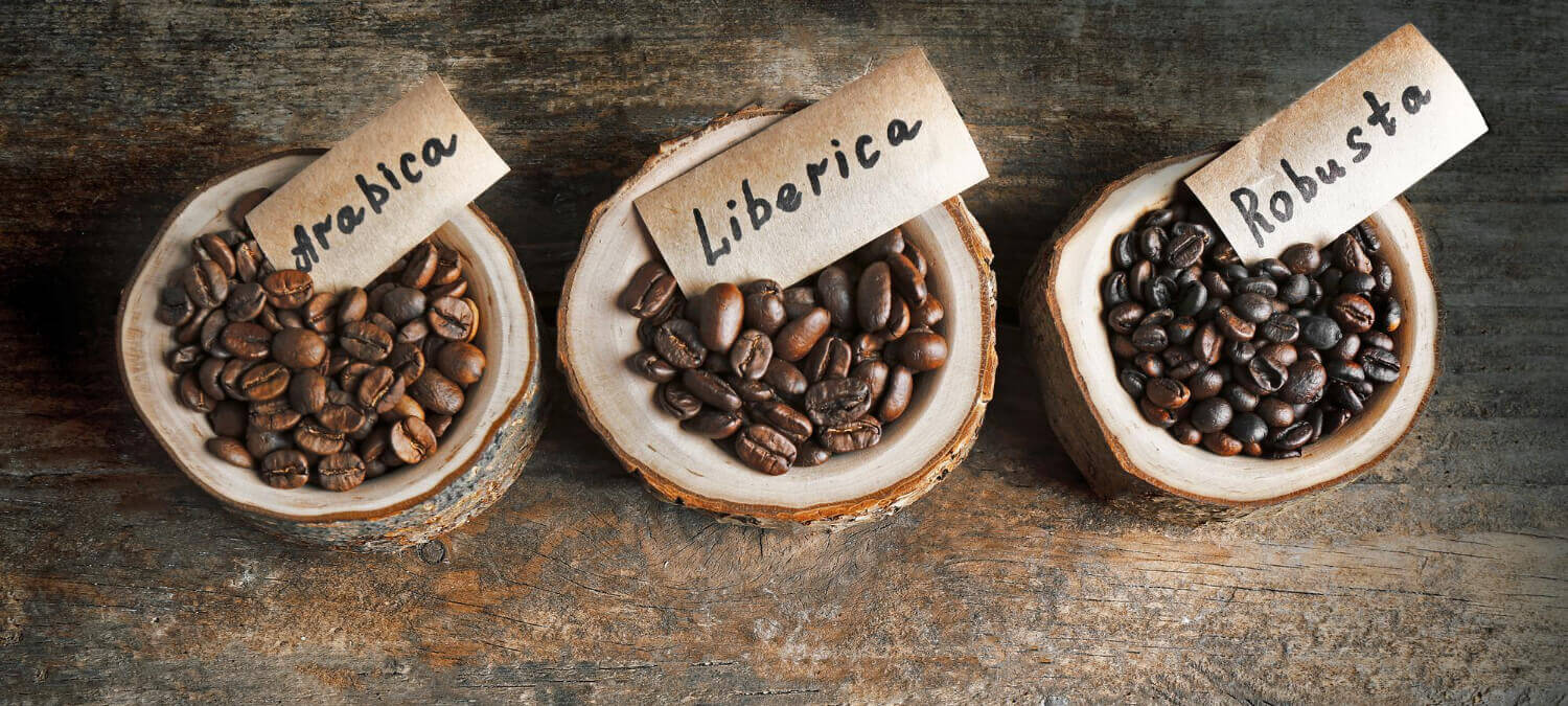 arabica vs robusta