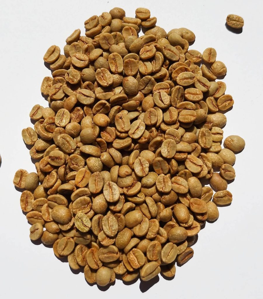 nyers arabica kávé