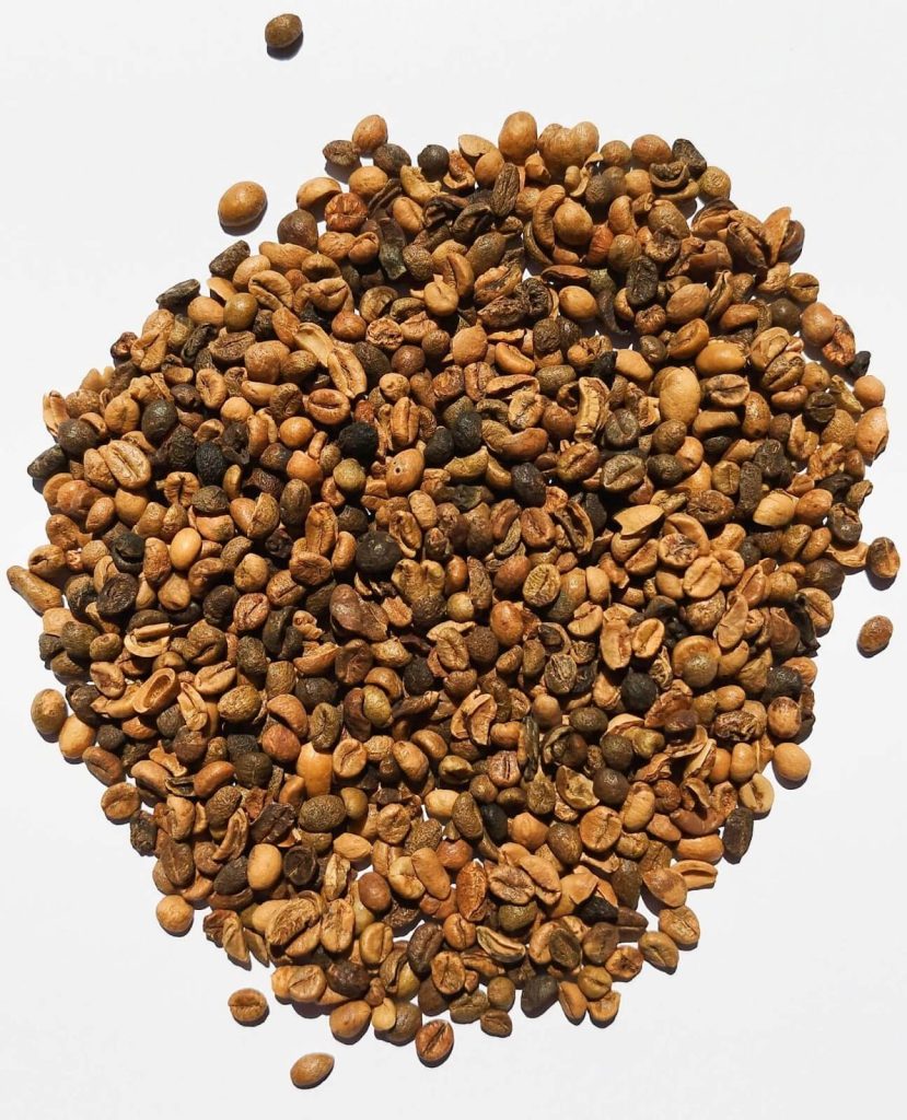 nyers robusta kávé